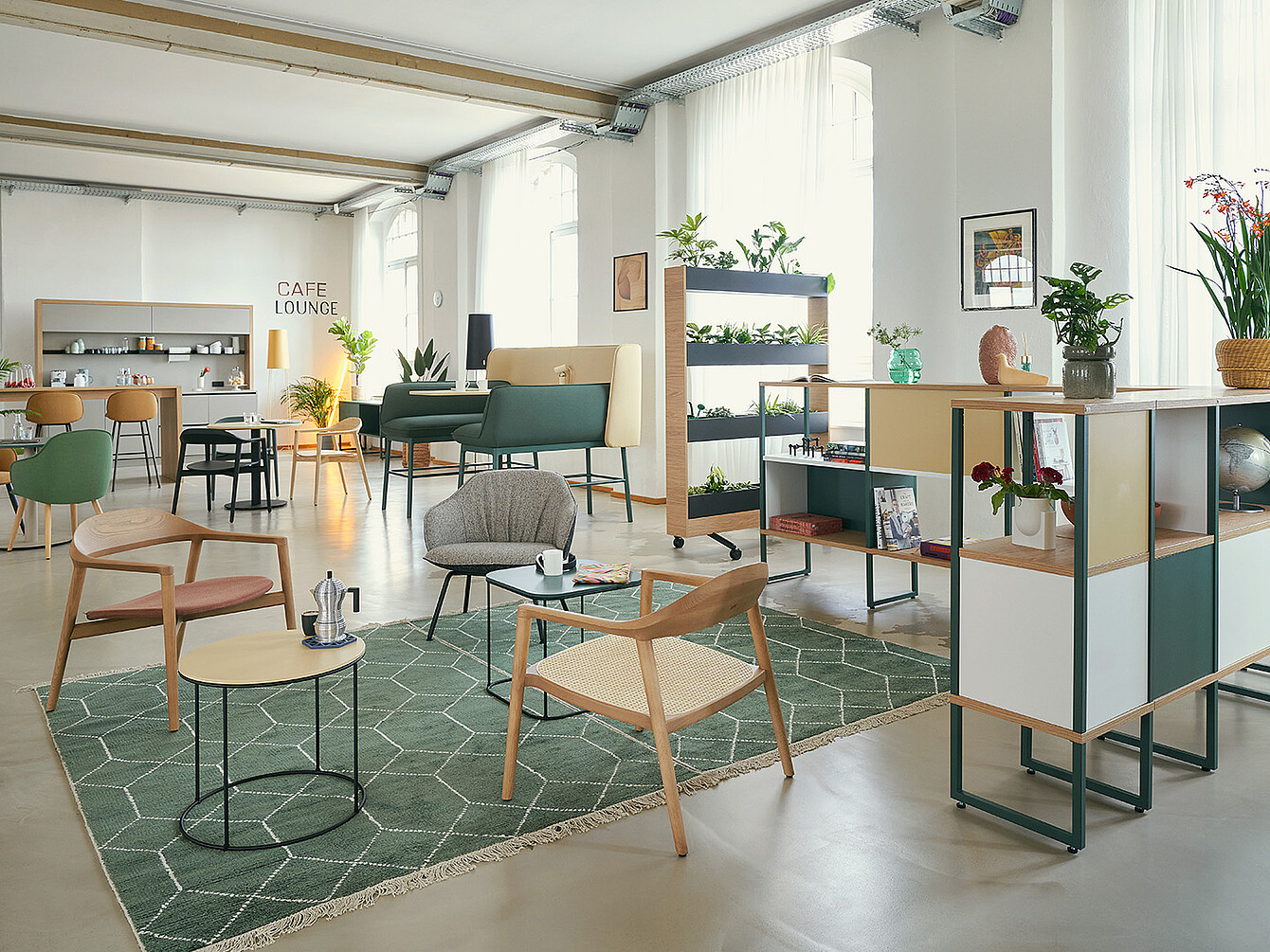 Modern cafe lounge with wooden chairs, small tables, green plants on shelves, and a geometric patterned rug