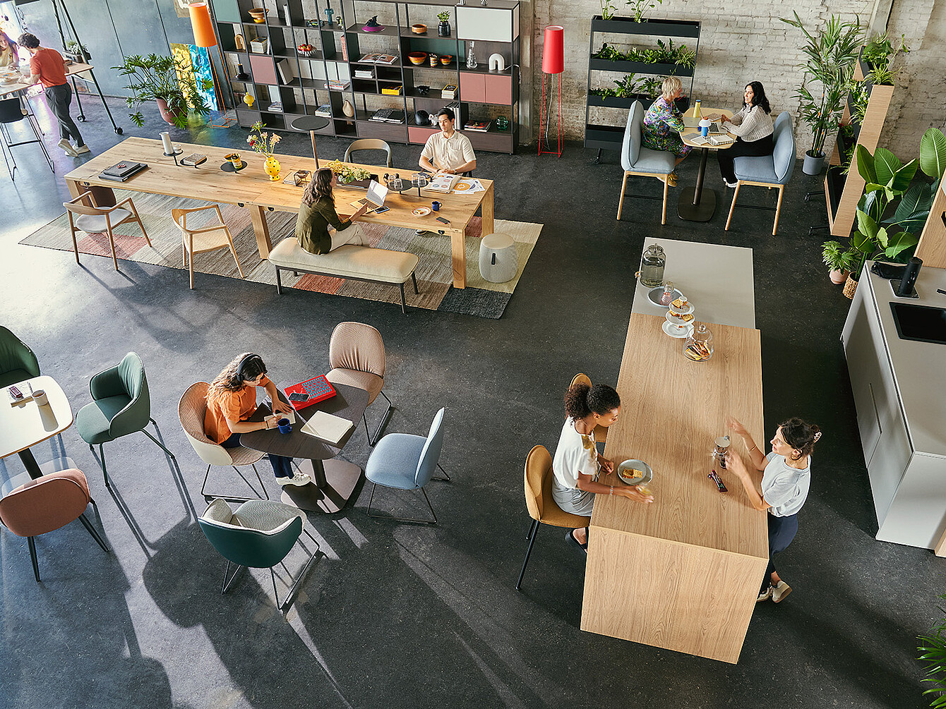 Open office space with people working and chatting at wooden tables and chairs, surrounded by plants and shelves