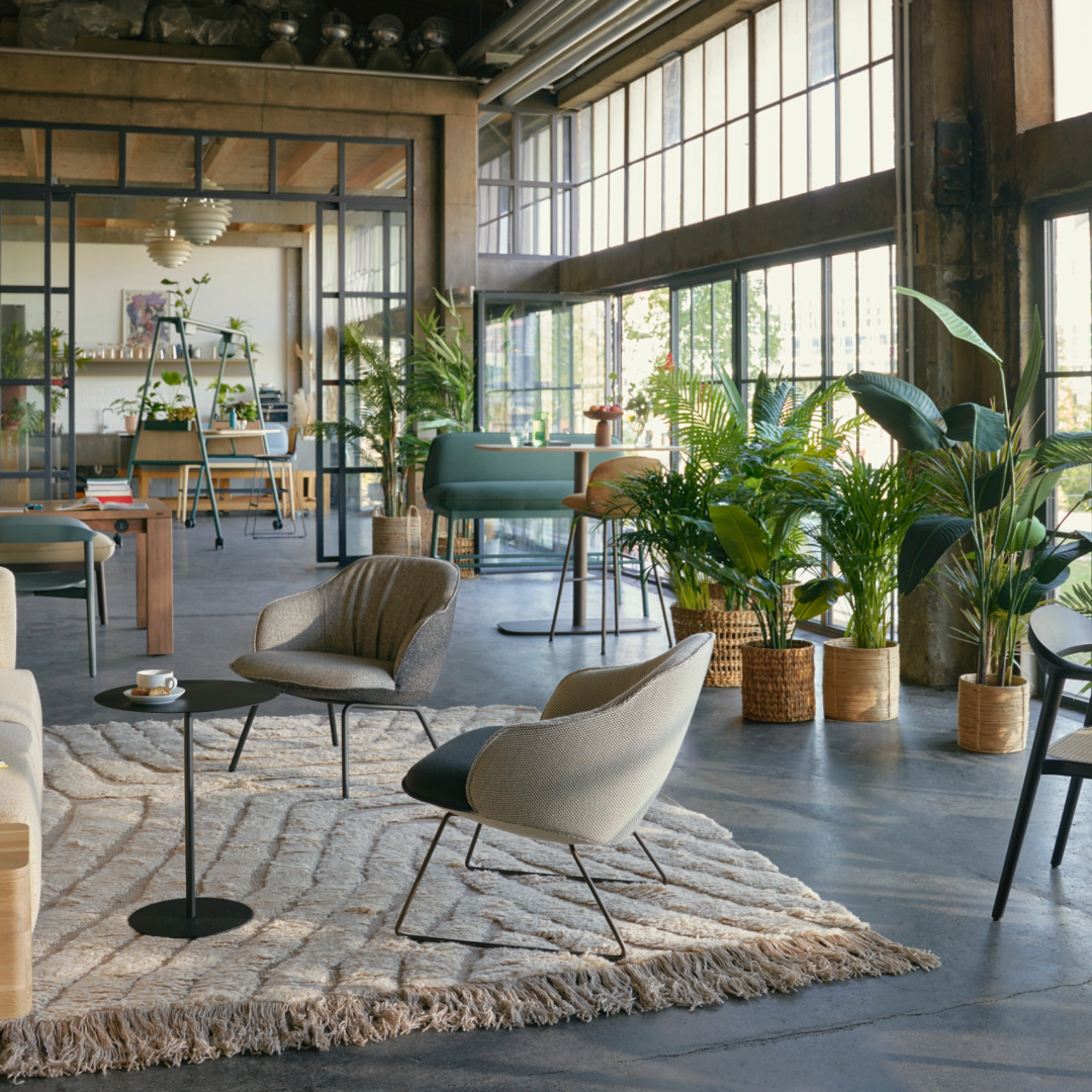 lounge furniture in biophilic design