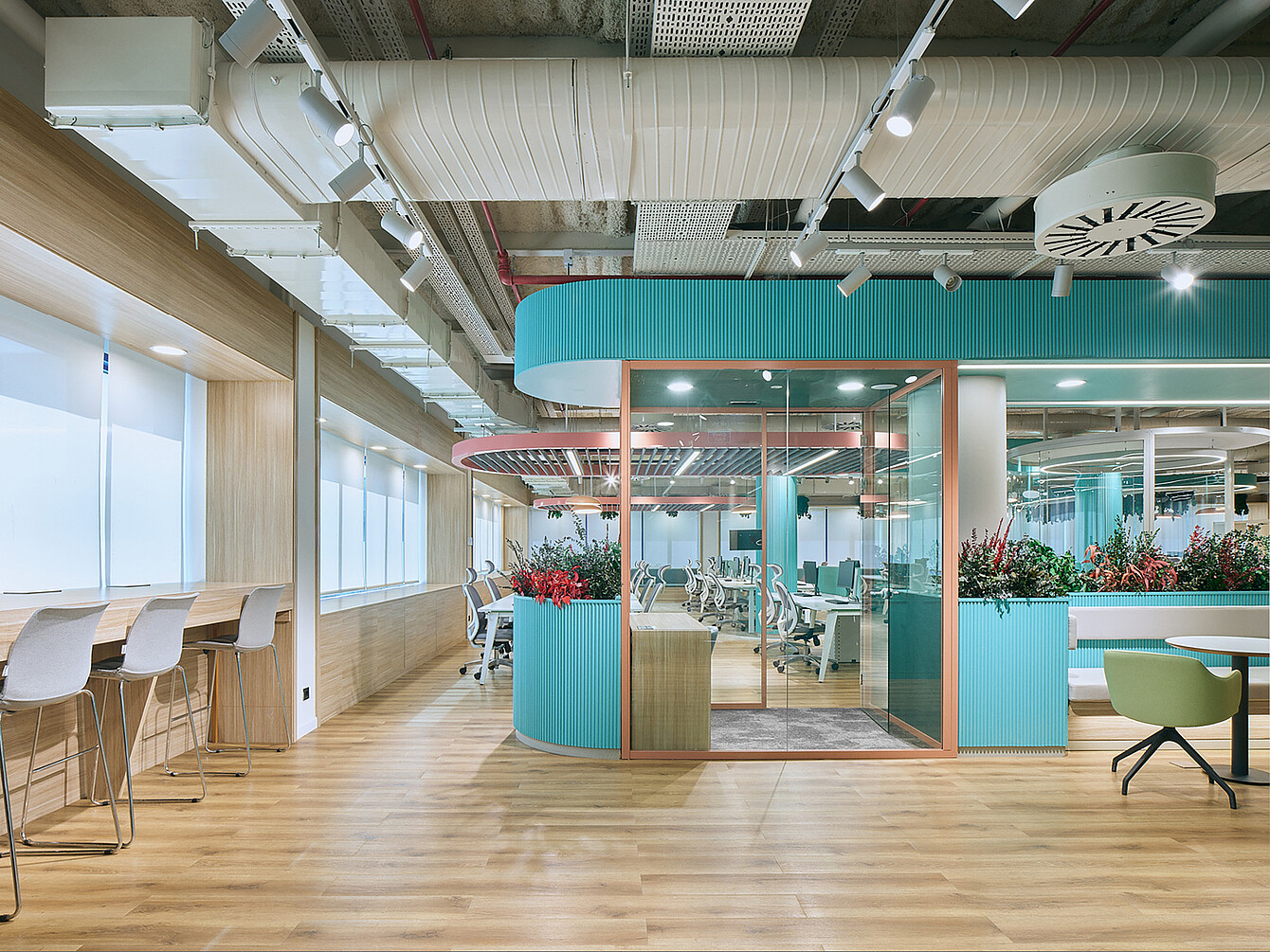 Open-plan office space with wooden flooring, white chairs along a window counter, a glass-walled meeting room framed in wood, and turquoise paneling with plants