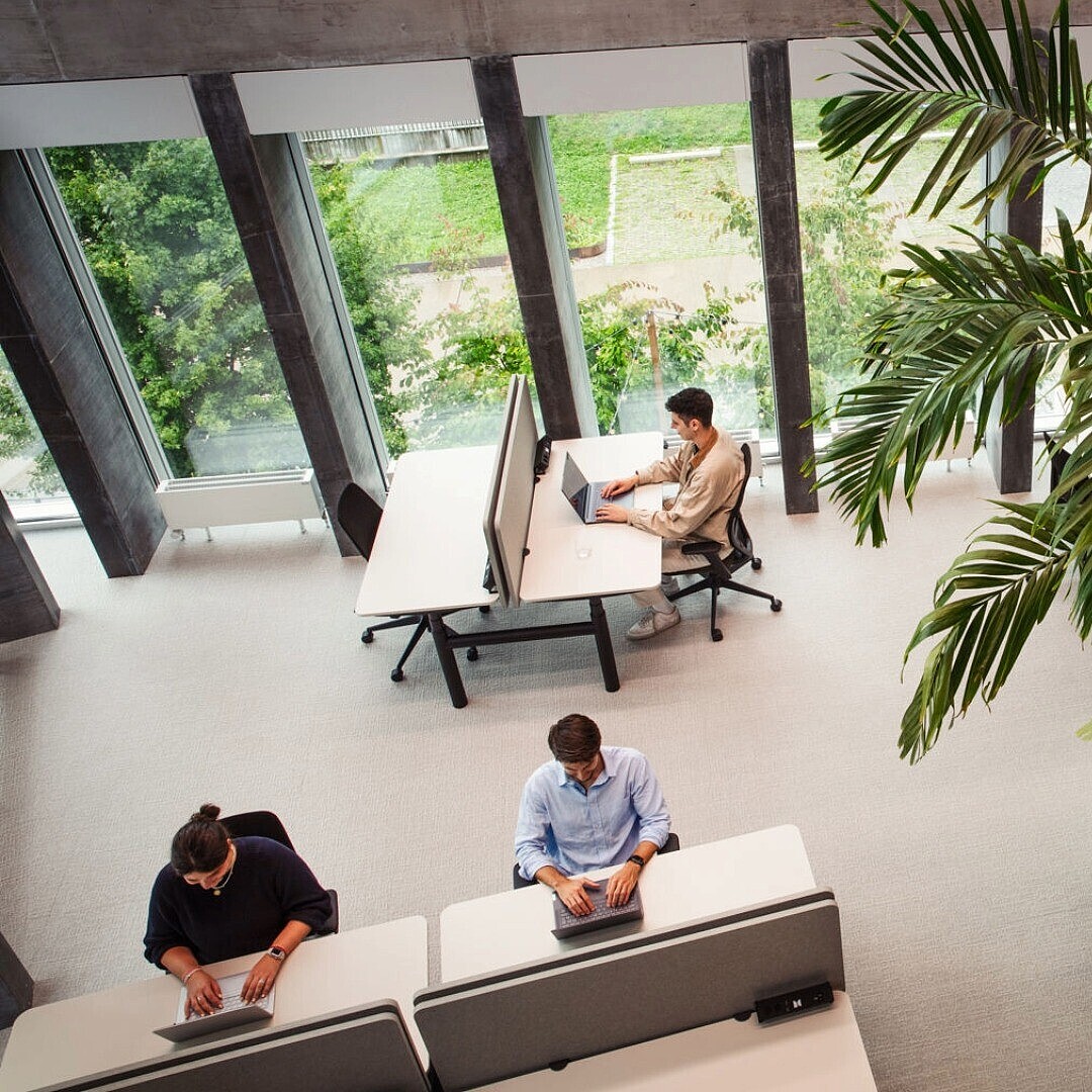 Three people working separately at desks and a sofa in a modern office space with large windows and a tall potted plant.