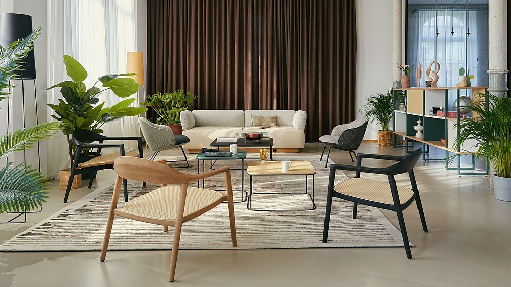 Biophilic Design – Wie man mit Büropflanzen das Arbeitsumfeld verbessert