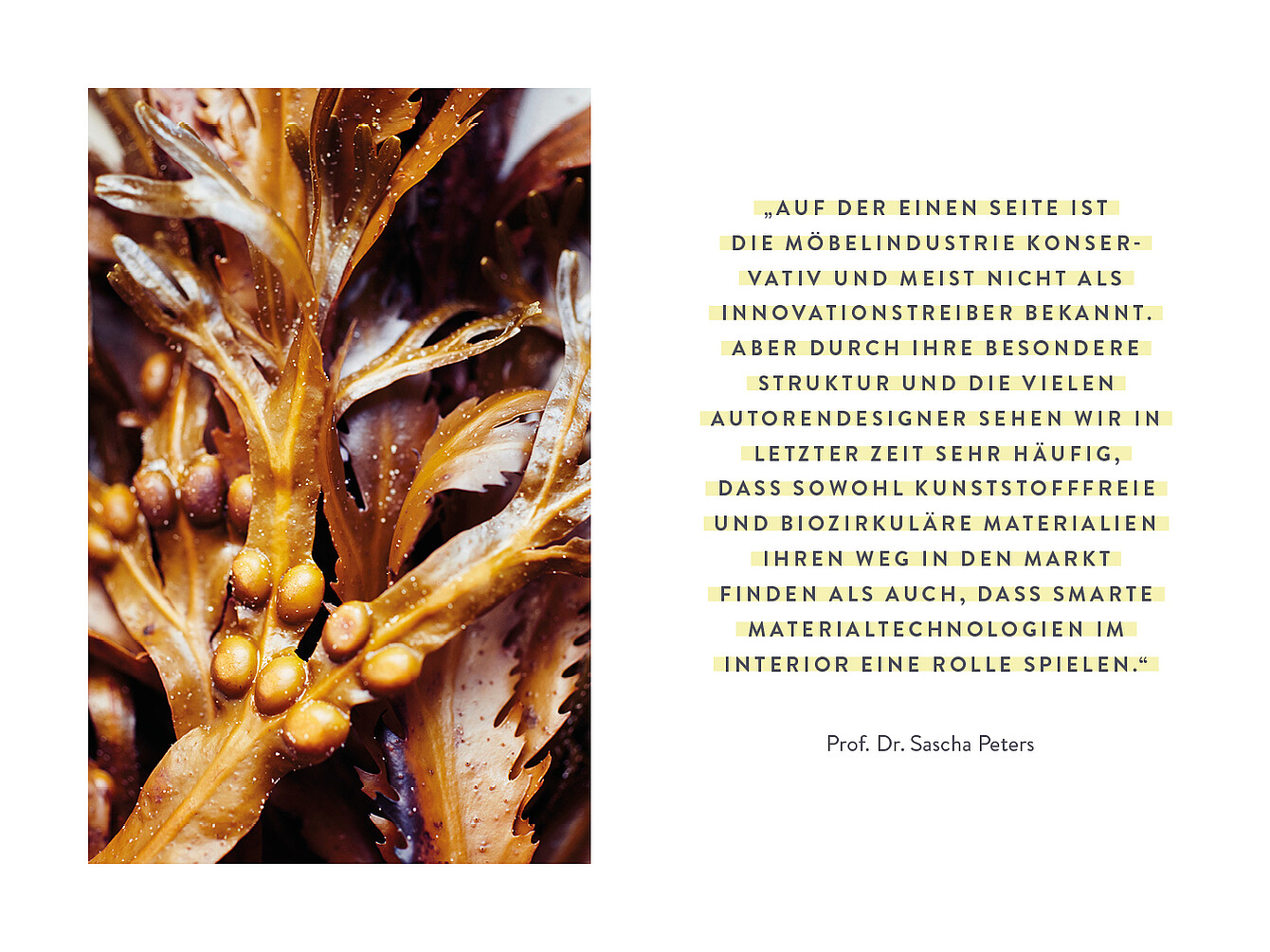 Nahaufnahme einer braunen, organisch geformten Struktur mit tropfenförmigen Elementen neben einem Zitat von Prof. Dr. Sascha Peters über Innovationen in der Möbelindustrie.