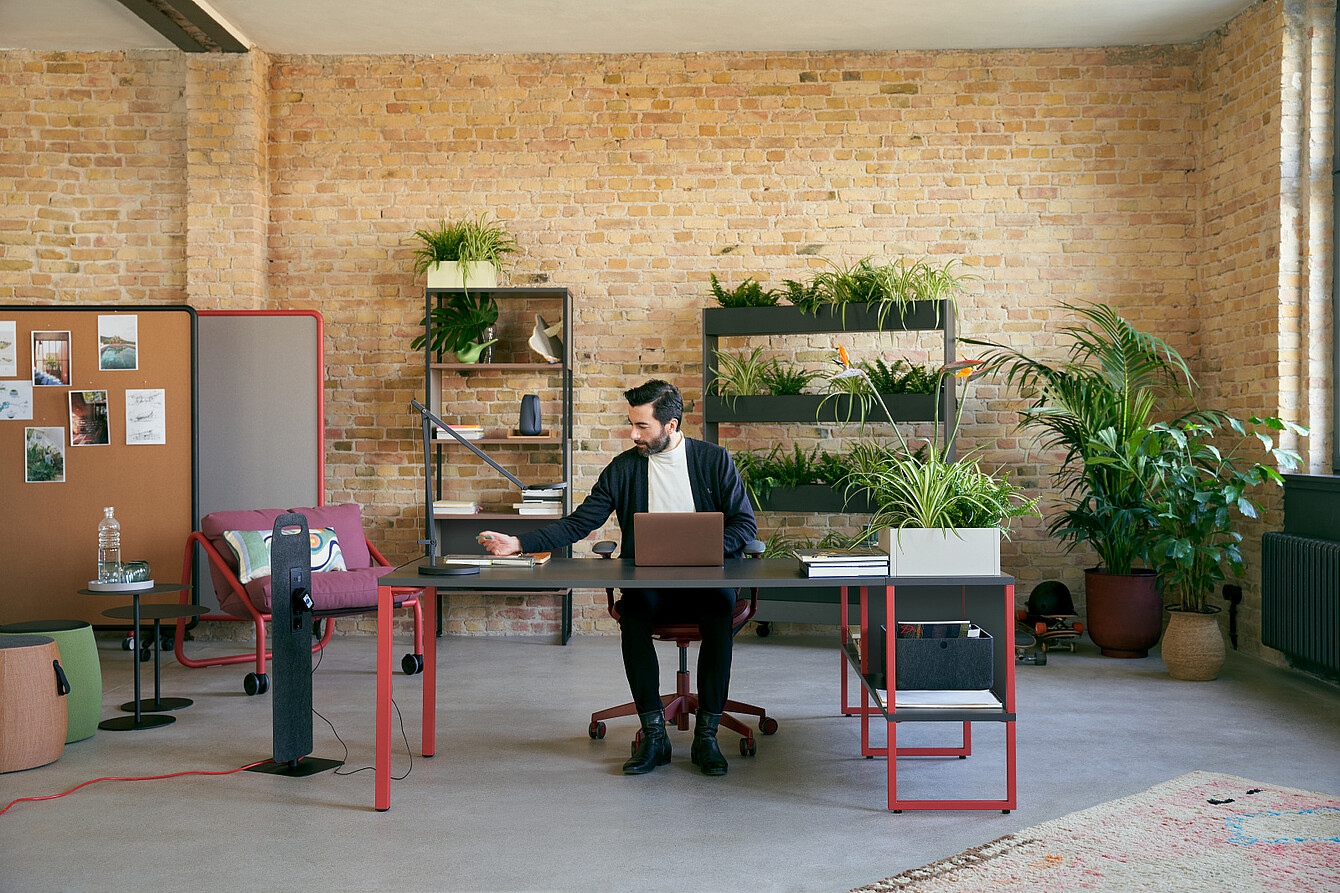 Man sitting at a desk in a spacious room with brick walls and multiple plants, working on a laptop