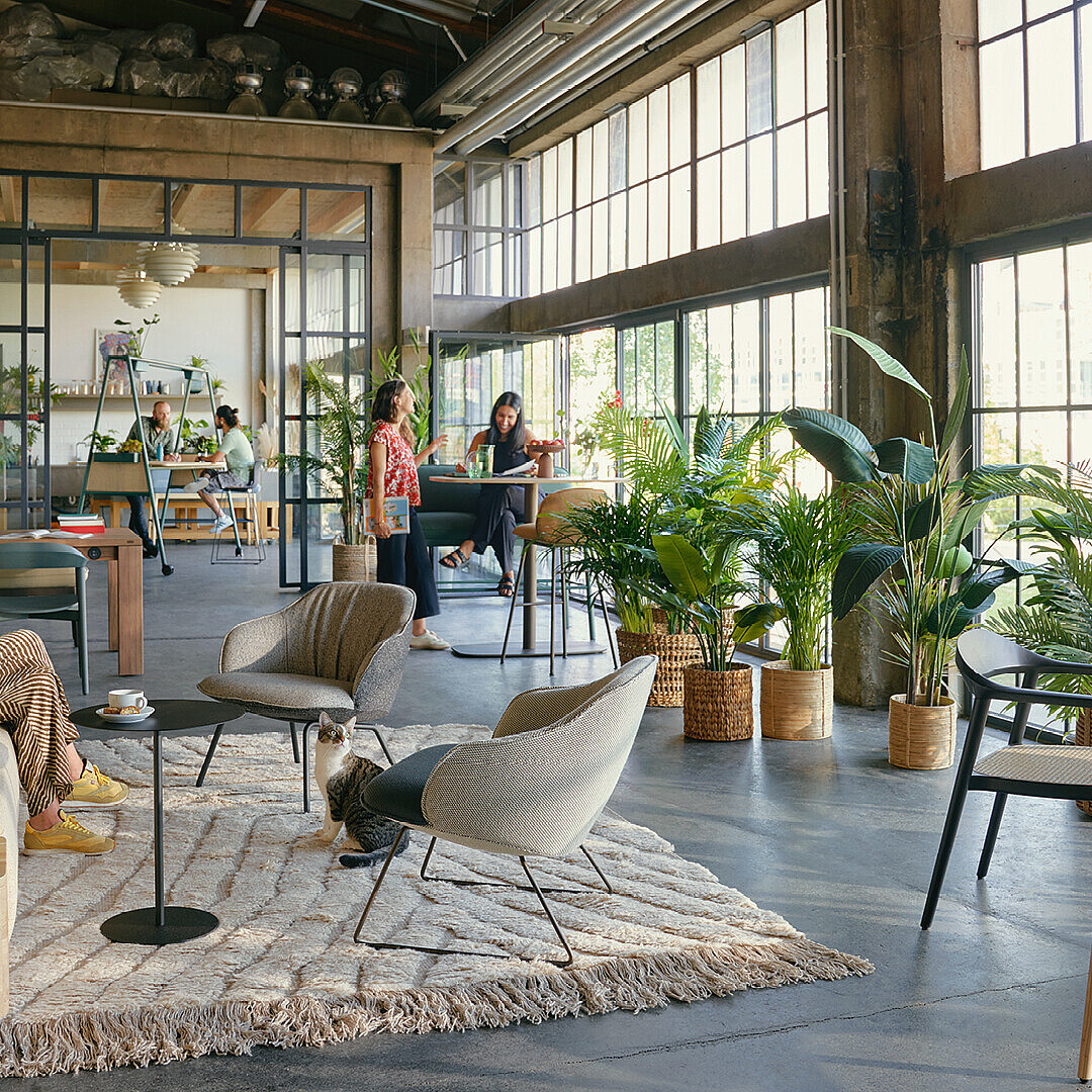 Biophilically designed workspace