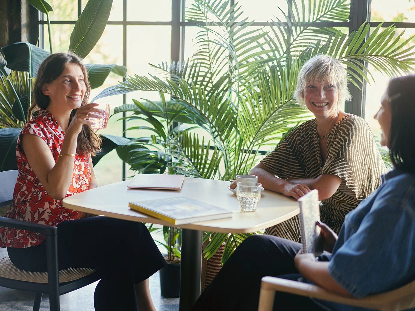 Drei Personen sitzen an einem Tisch in einem hellen Büro mit großen Fenstern und vielen grünen Pflanzen und führen ein Gespräch