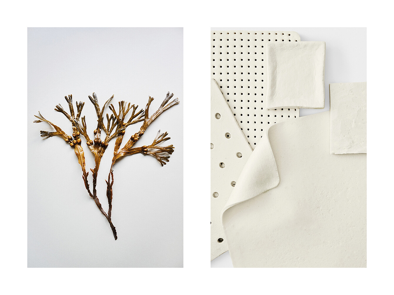 Zweige mit goldener Oberfläche neben verschiedenen weißen, perforierten und strukturierten Materialmustern