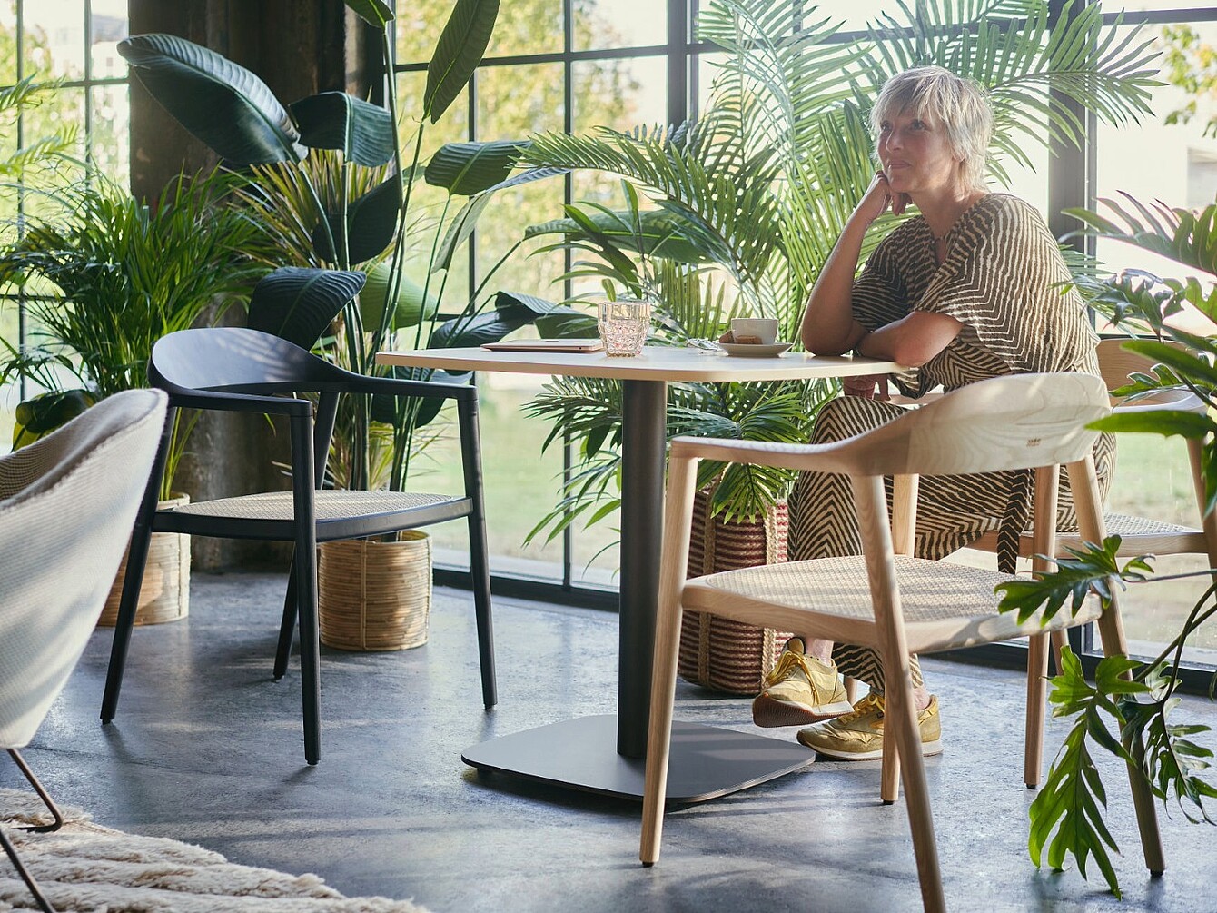 Person sitting at a round table in a bright room with large windows and many plants