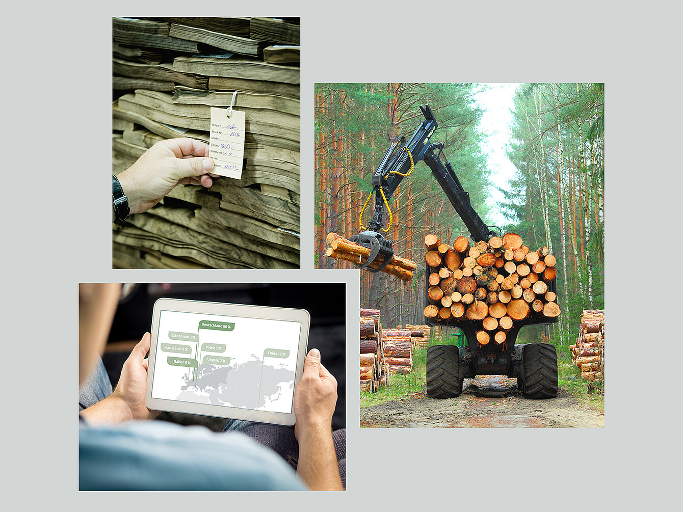Hand hält Etikett an Holzstapel, Forstmaschine lädt Baumstämme im Wald, Person betrachtet Weltkarte mit Daten auf Tablet, Bezug zu Sedus Stoll AG und Science Based Targets Initiative