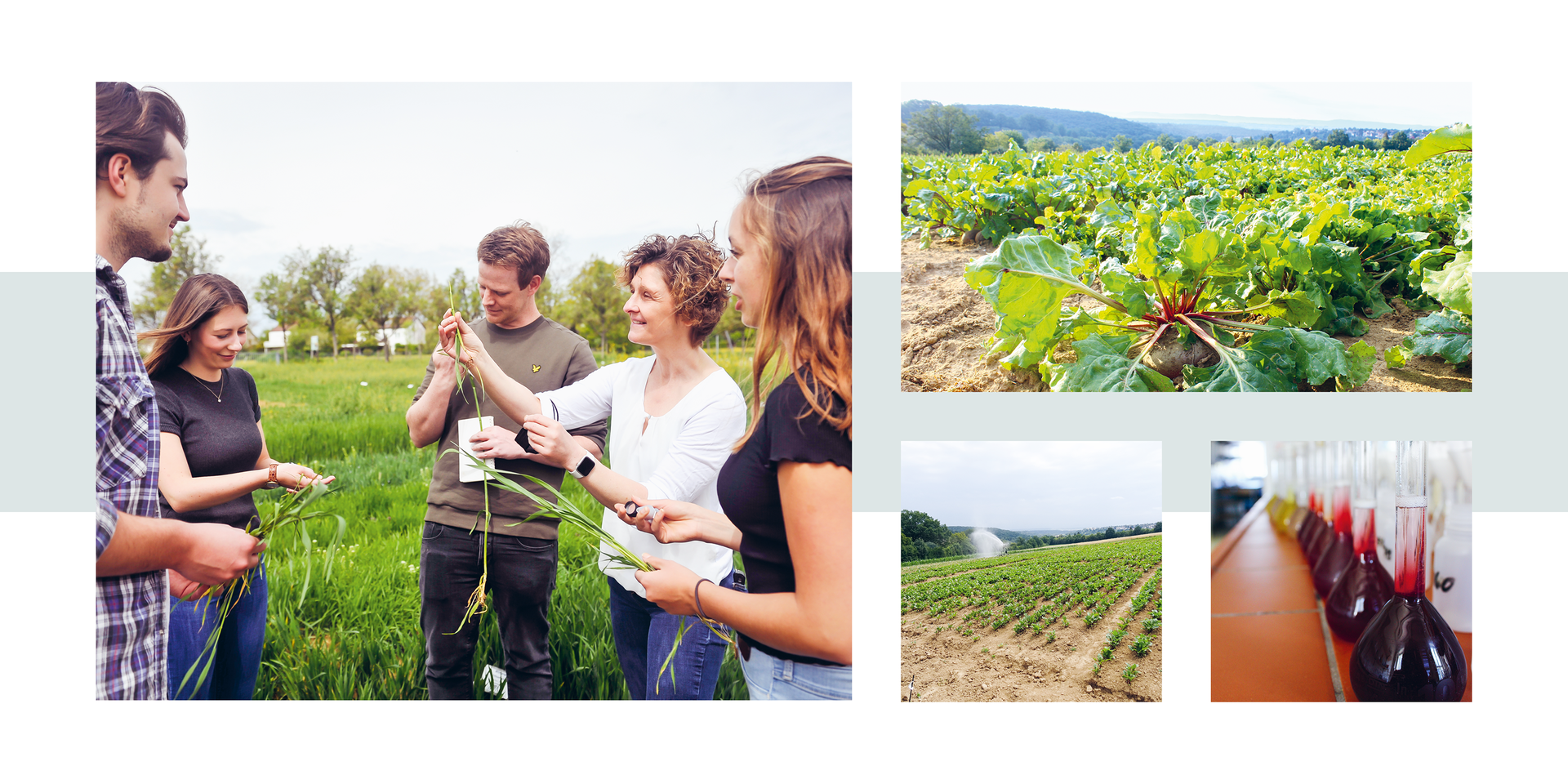 Fünf Personen stehen auf einem Feld und halten Rote-Bete-Pflanzen, im Hintergrund weitere Felder und Landschaft
