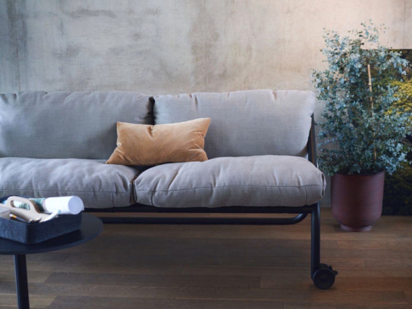 Modern sofa with a metal frame and a single cushion with a small pillow on it next to a potted plant