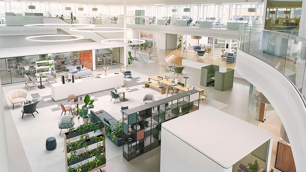 Designing a sustainable office: creating a modern Green Office with furniture