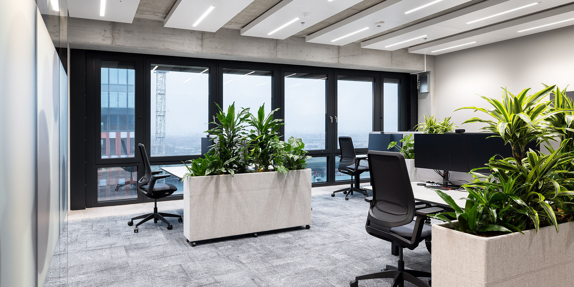 Modernes Büro mit höhenverstellbaren temptation c Schreibtischen und se:flex Bürodrehstühlen, Pflanzen als Raumteiler, große Fenster mit Stadtblick. 