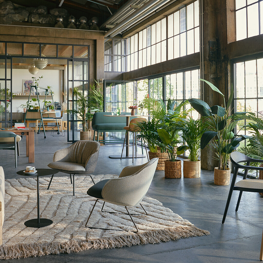 Biophilic office design