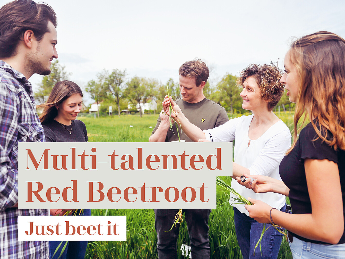 Group of people standing in a field holding freshly harvested red beetroots, with overlaid text 'Multi-talented Red Beetroot' and 'Just beet it'.