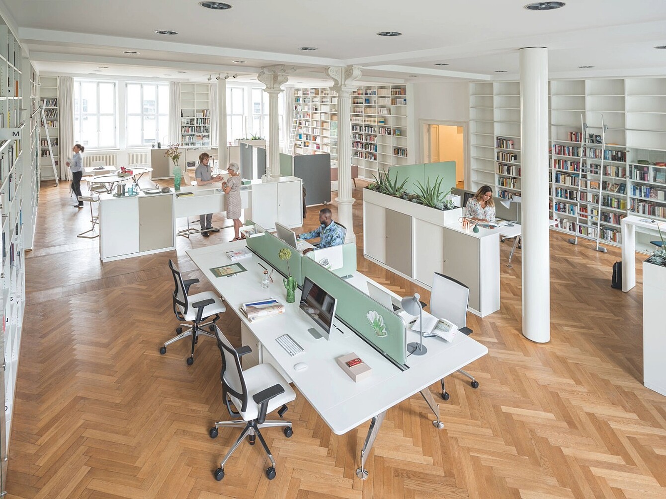 Großzügiger, offener Büroarbeitsplatz mit mehreren Schreibtischen, Trennwänden mit Pflanzen und hohen Bücherregalen an den Wänden