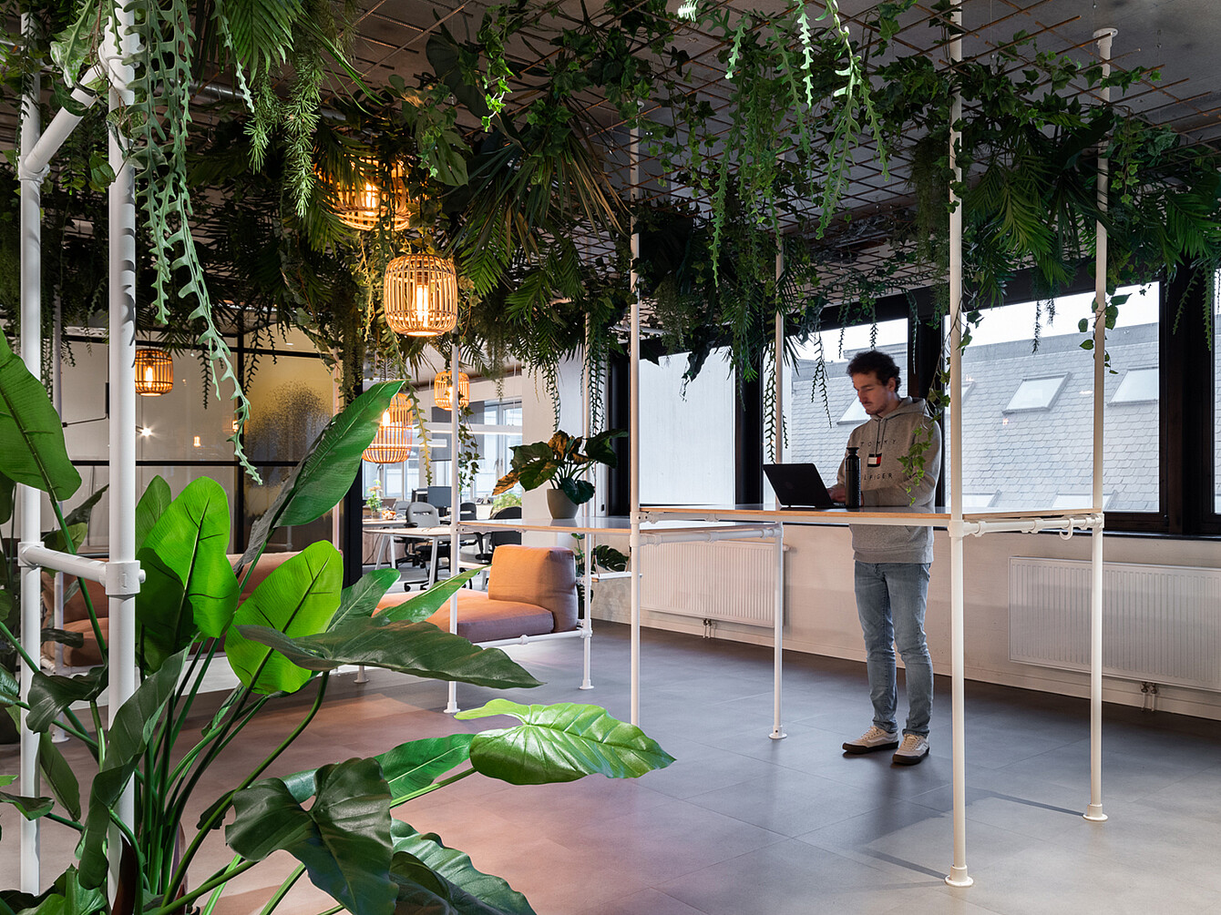 Man standing and working on a laptop at a high table in an open office space with hanging plants and natural light