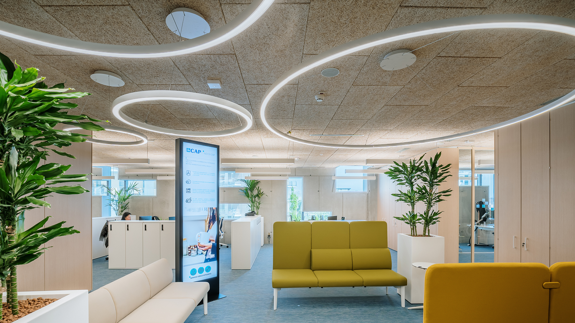 A working ecosystem for focus, exchange and autonomy