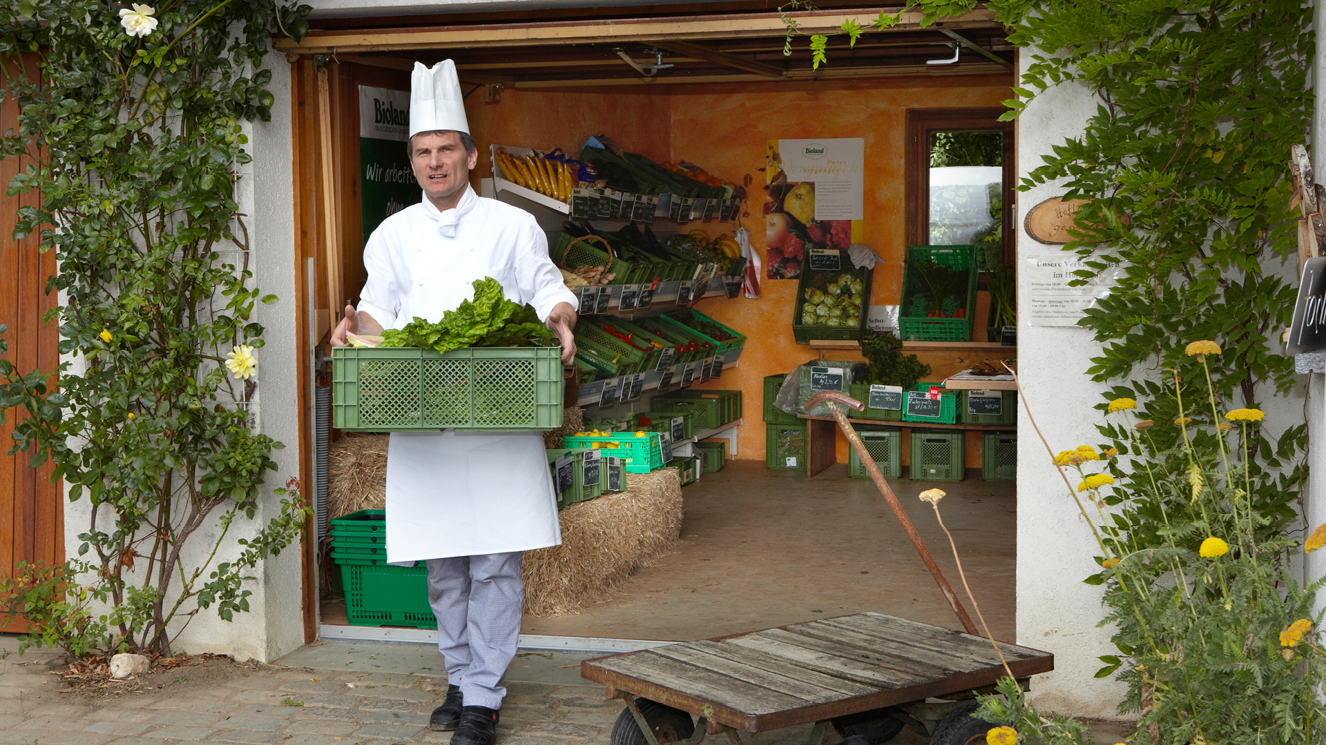 El Work Café y la experiencia culinaria: Cómo la buena comida está revolucionando el mundo laboral