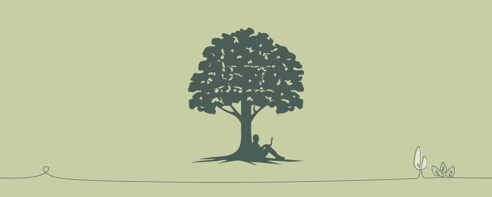 Duurzaamheid van oudsher in het DNA van Sedus