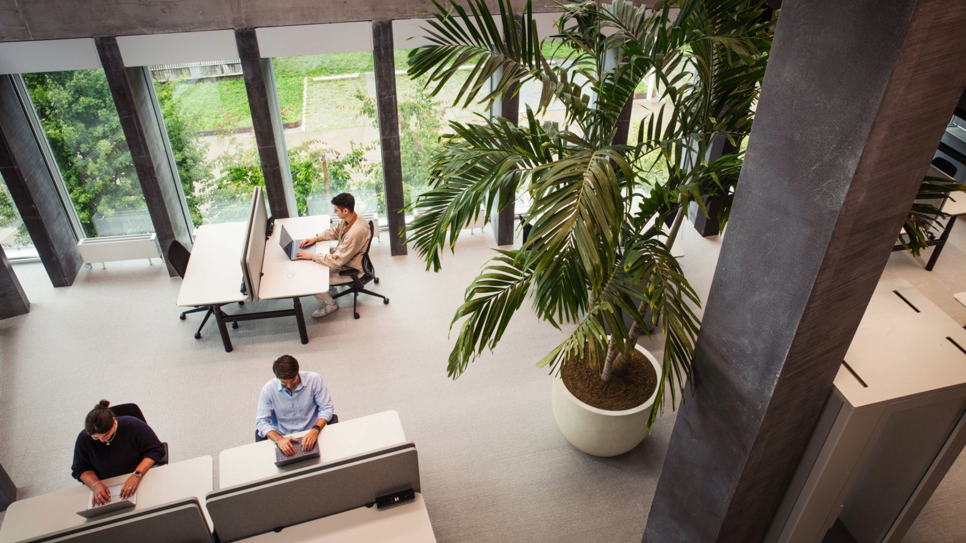 Darum Sedus: Der Novu Campus in Zürich